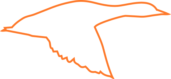 Vector (12)