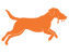 dog-f